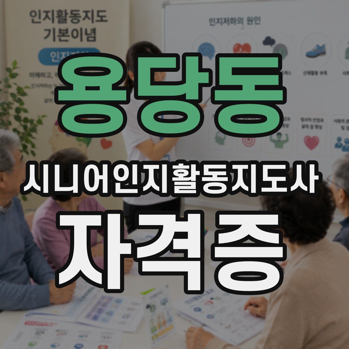 용당동 시니어인지활동지도사 자격증