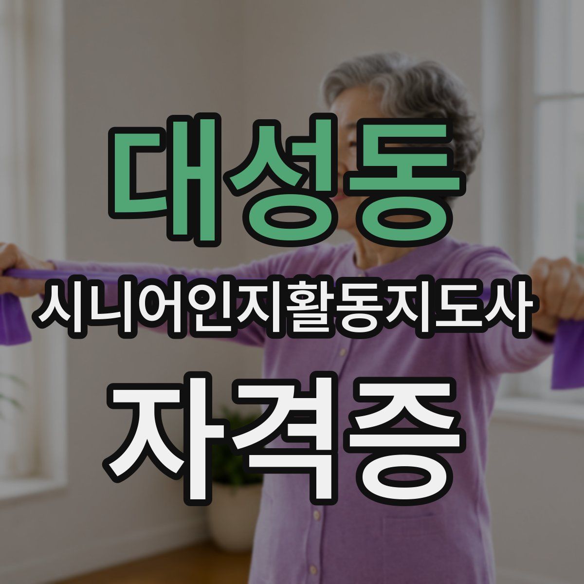 대성동 시니어인지활동지도사 자격증
