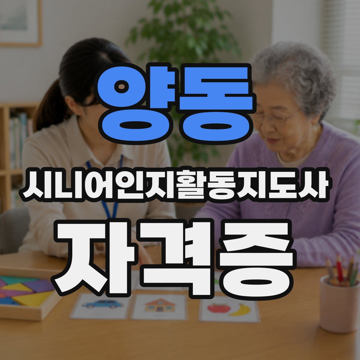 양동 시니어인지활동지도사 자격증