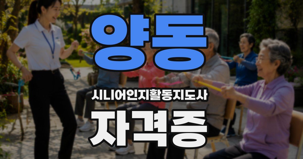 양동 시니어인지활동지도사 자격증