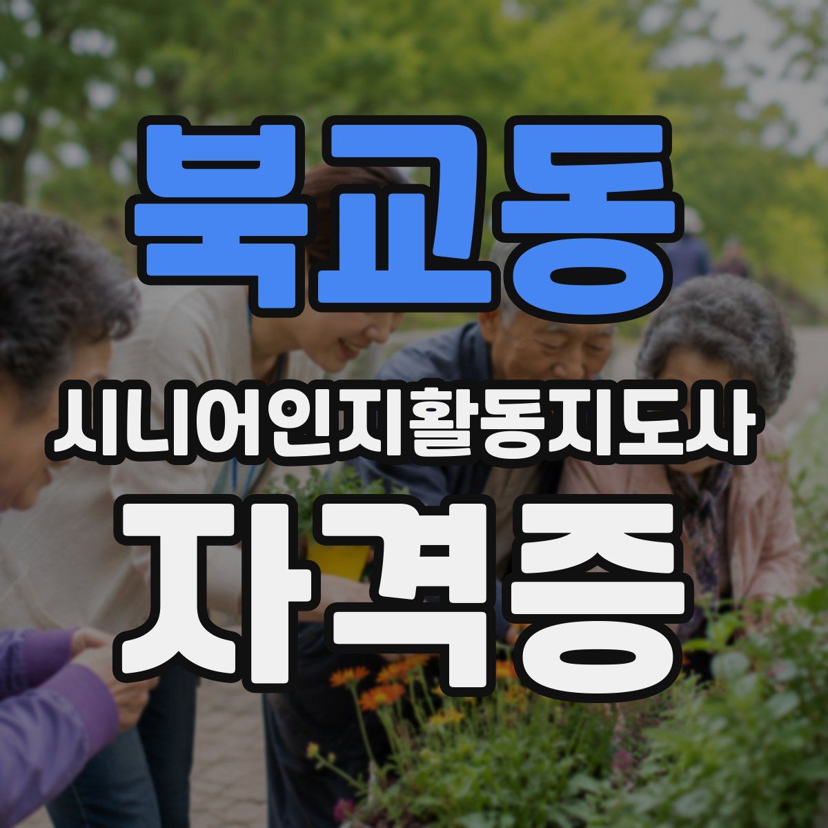 북교동 시니어인지활동지도사 자격증