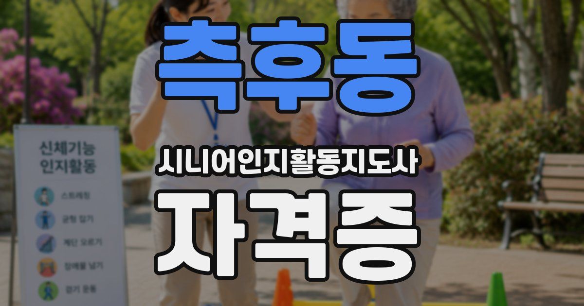 측후동 시니어인지활동지도사 자격증