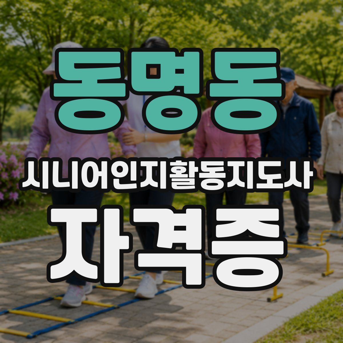 동명동 시니어인지활동지도사 자격증