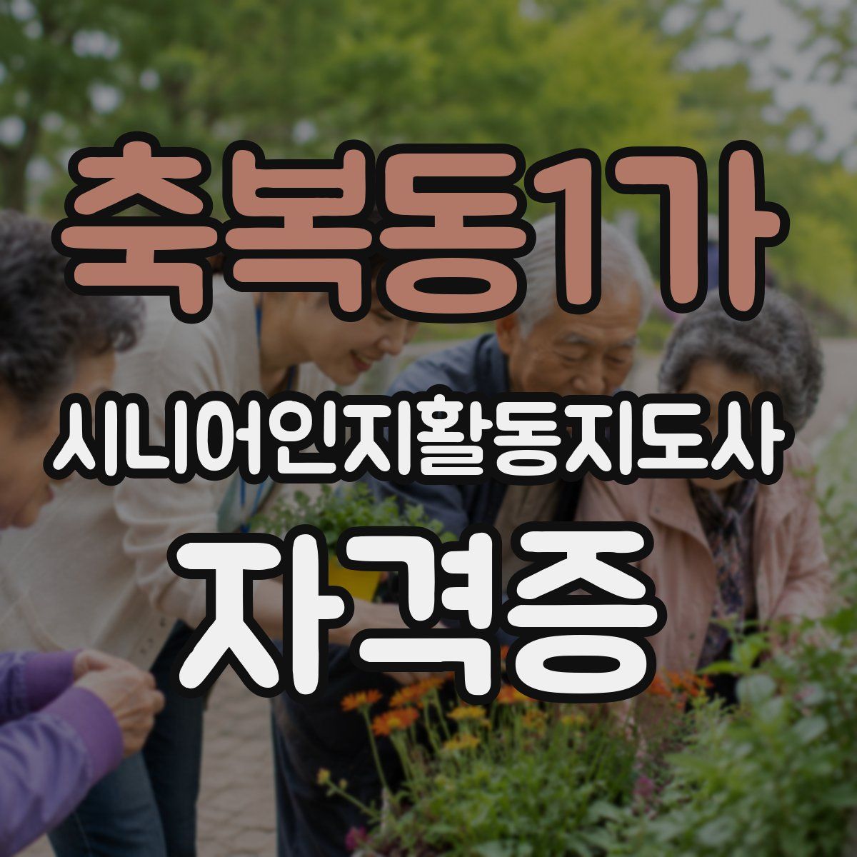 축복동1가 시니어인지활동지도사 자격증