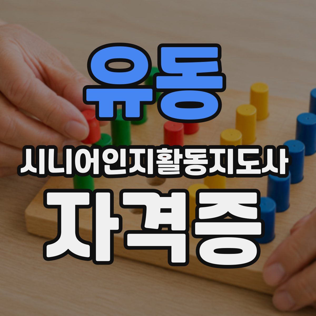 유동 시니어인지활동지도사 자격증