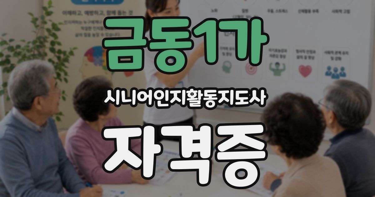 금동1가 시니어인지활동지도사 자격증