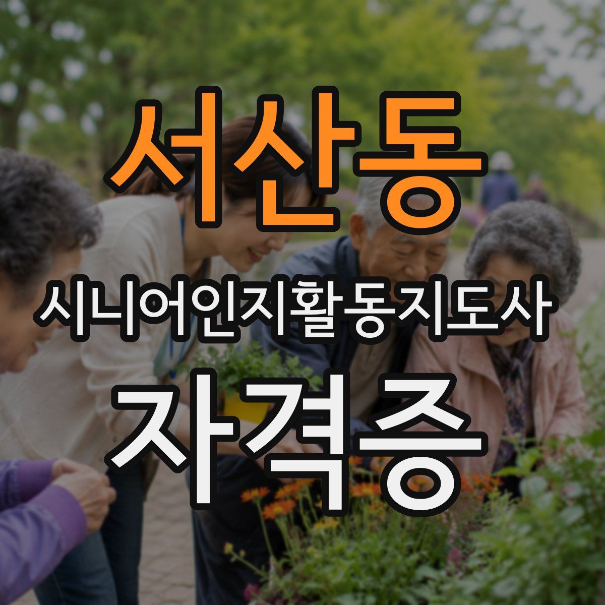 서산동 시니어인지활동지도사 자격증