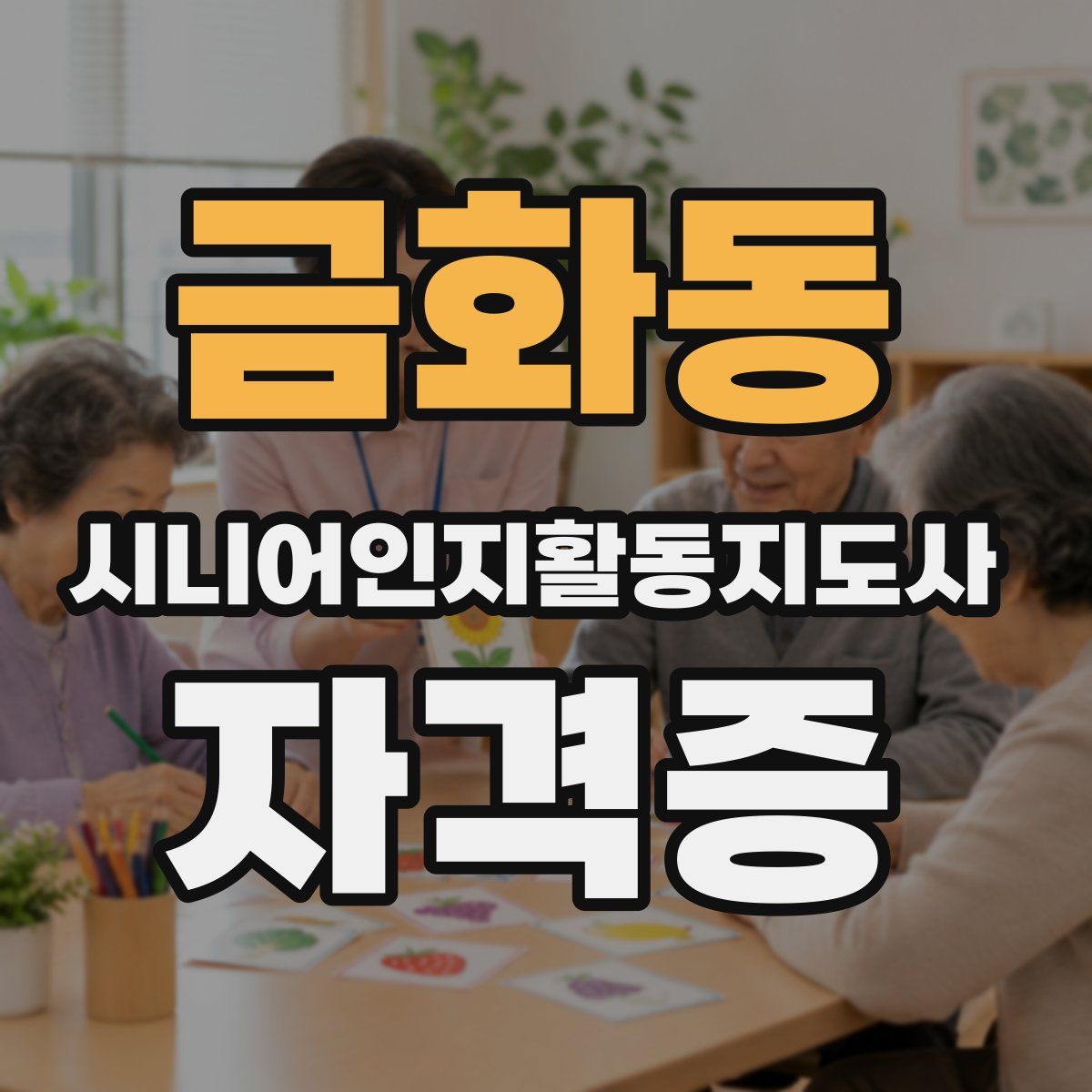 금화동 시니어인지활동지도사 자격증