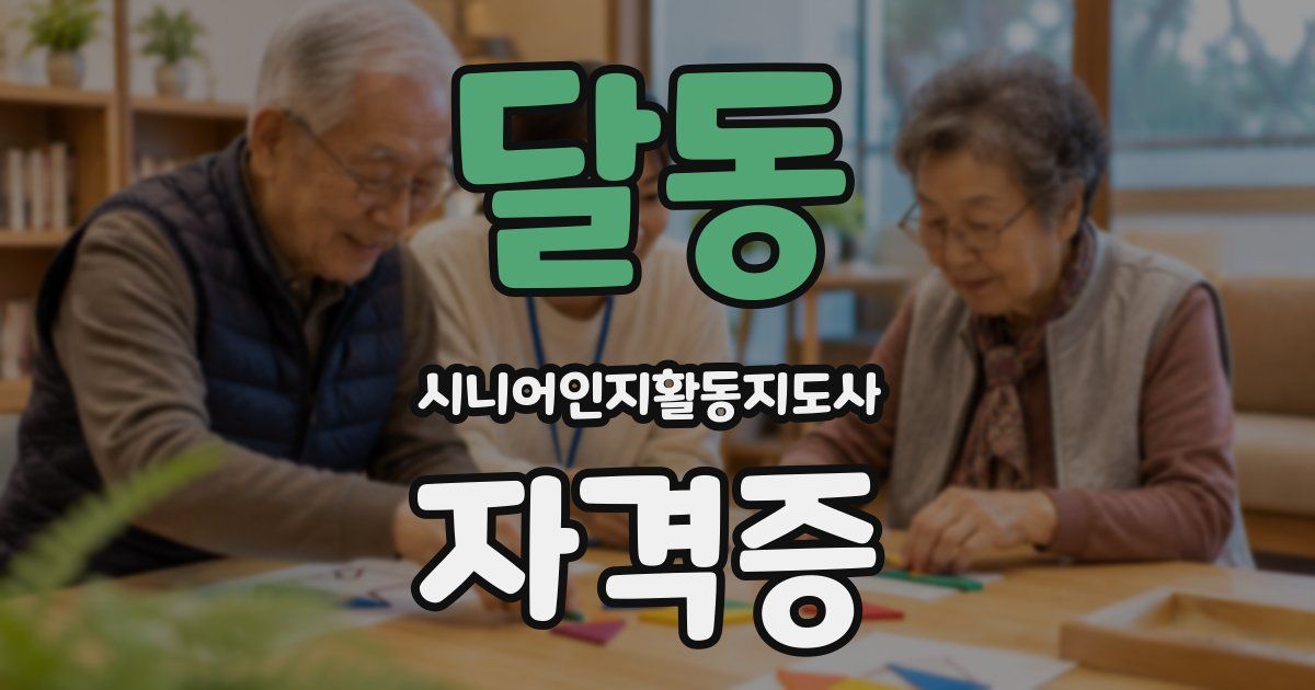 달동 시니어인지활동지도사 자격증