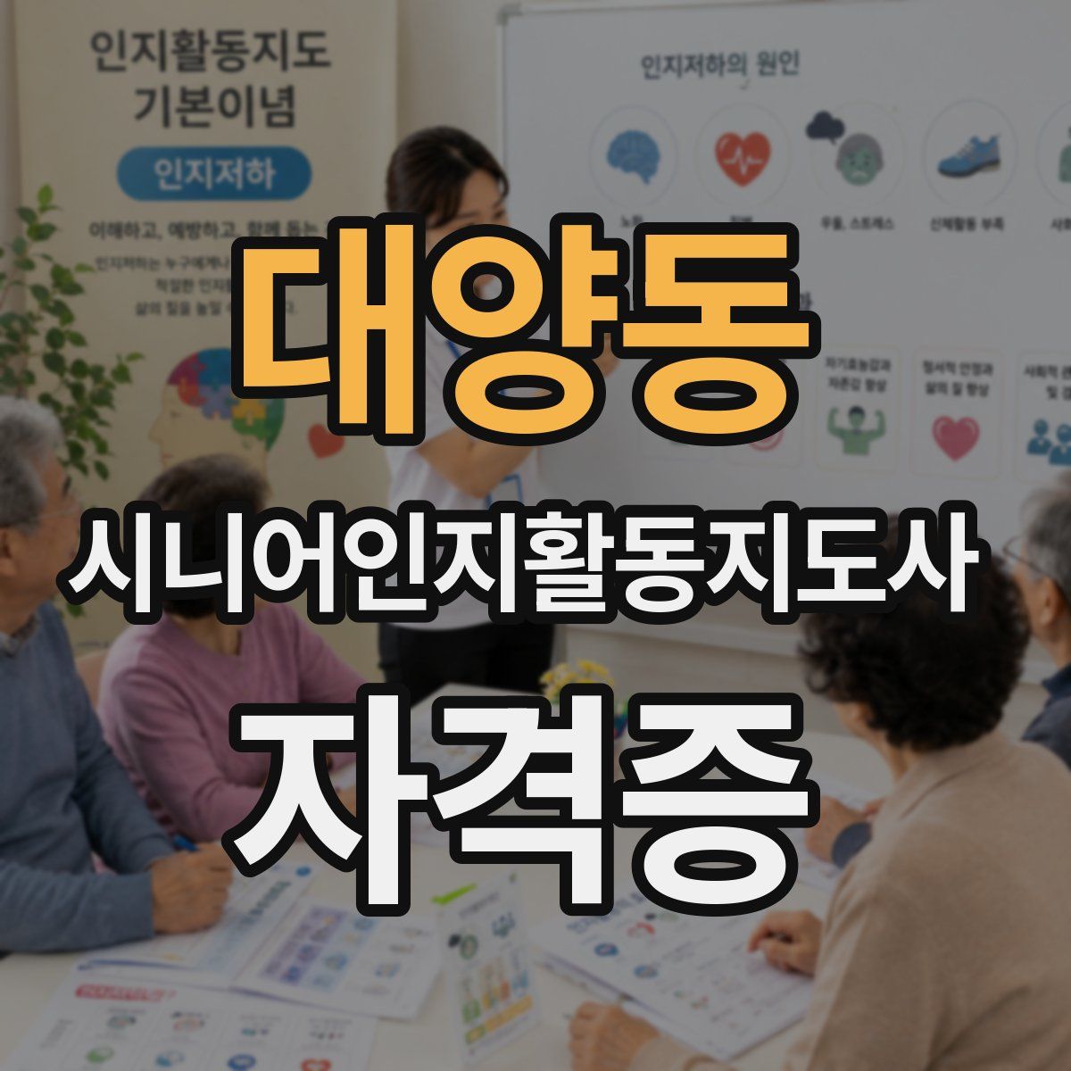대양동 시니어인지활동지도사 자격증