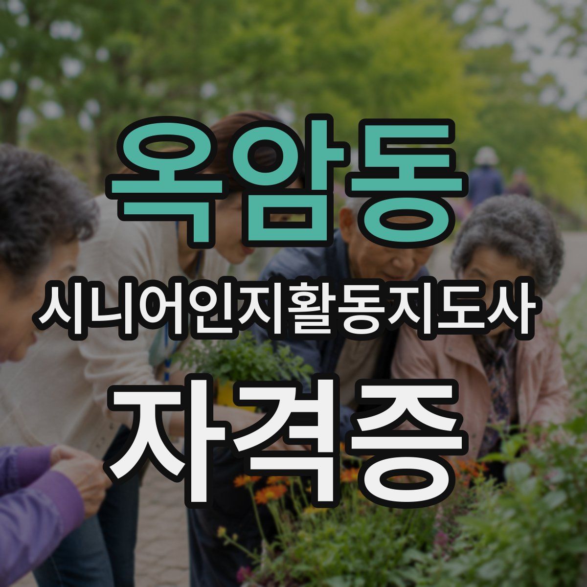 옥암동 시니어인지활동지도사 자격증