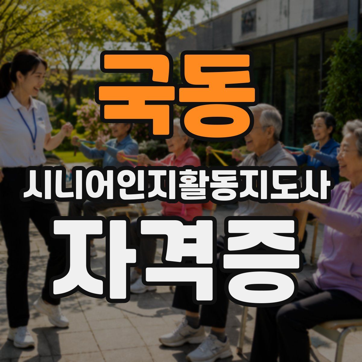 국동 시니어인지활동지도사 자격증