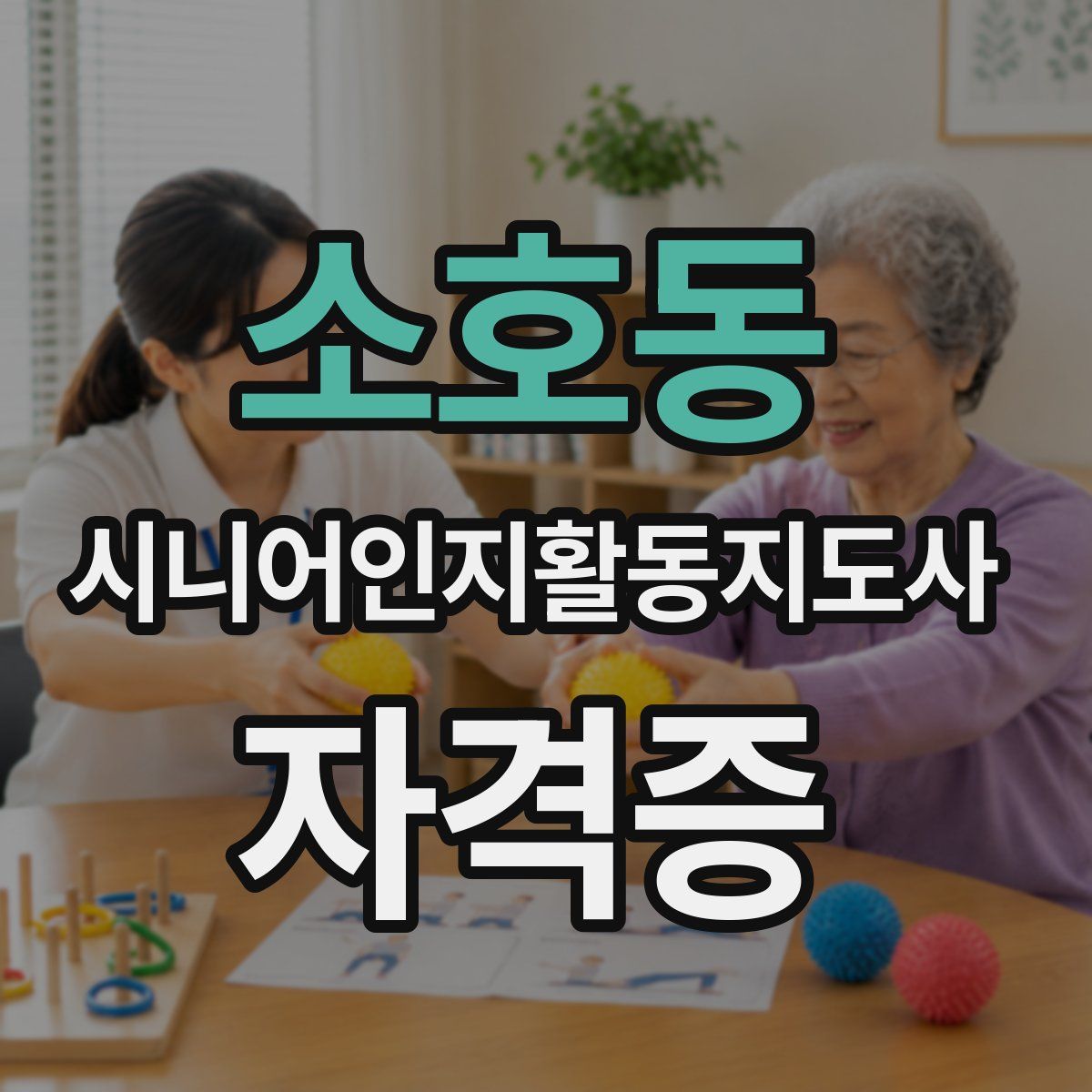소호동 시니어인지활동지도사 자격증