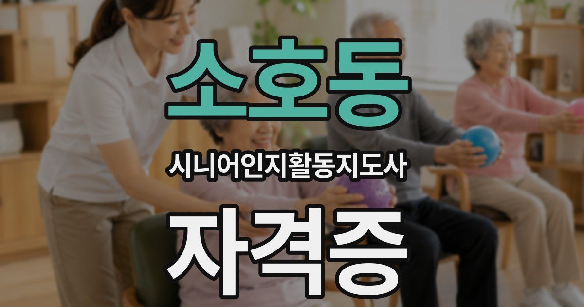 소호동 시니어인지활동지도사 자격증