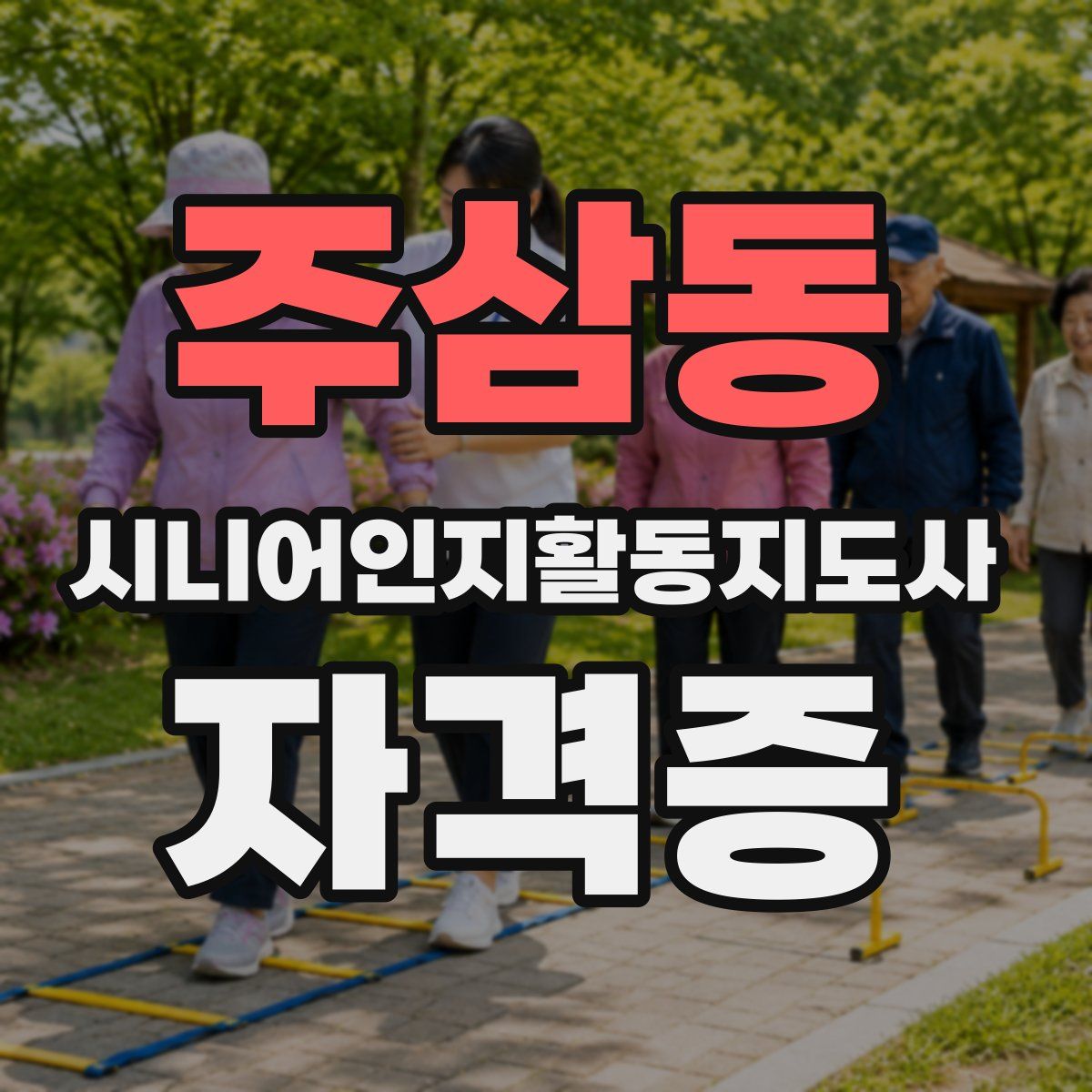 주삼동 시니어인지활동지도사 자격증