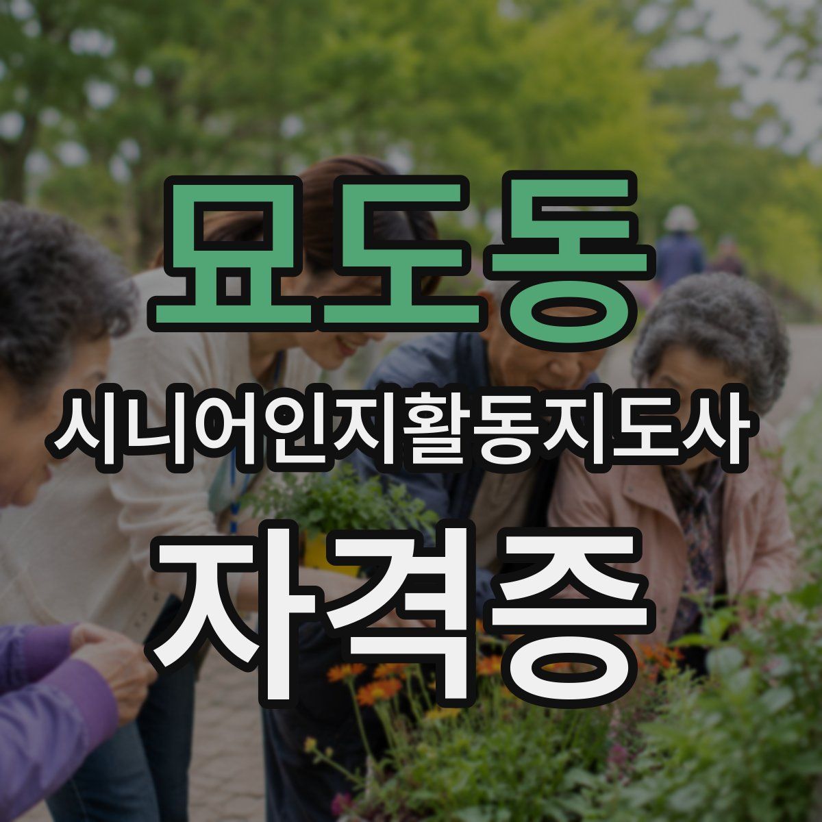 묘도동 시니어인지활동지도사 자격증