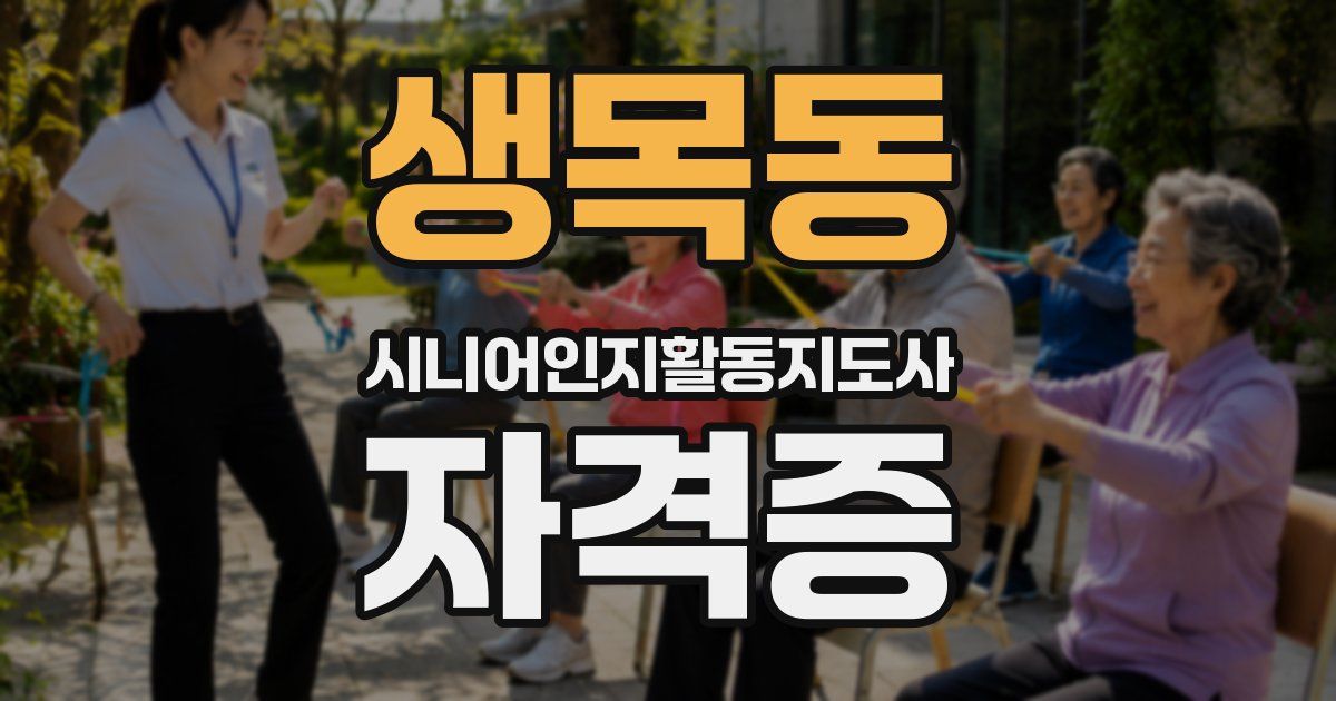 생목동 시니어인지활동지도사 자격증