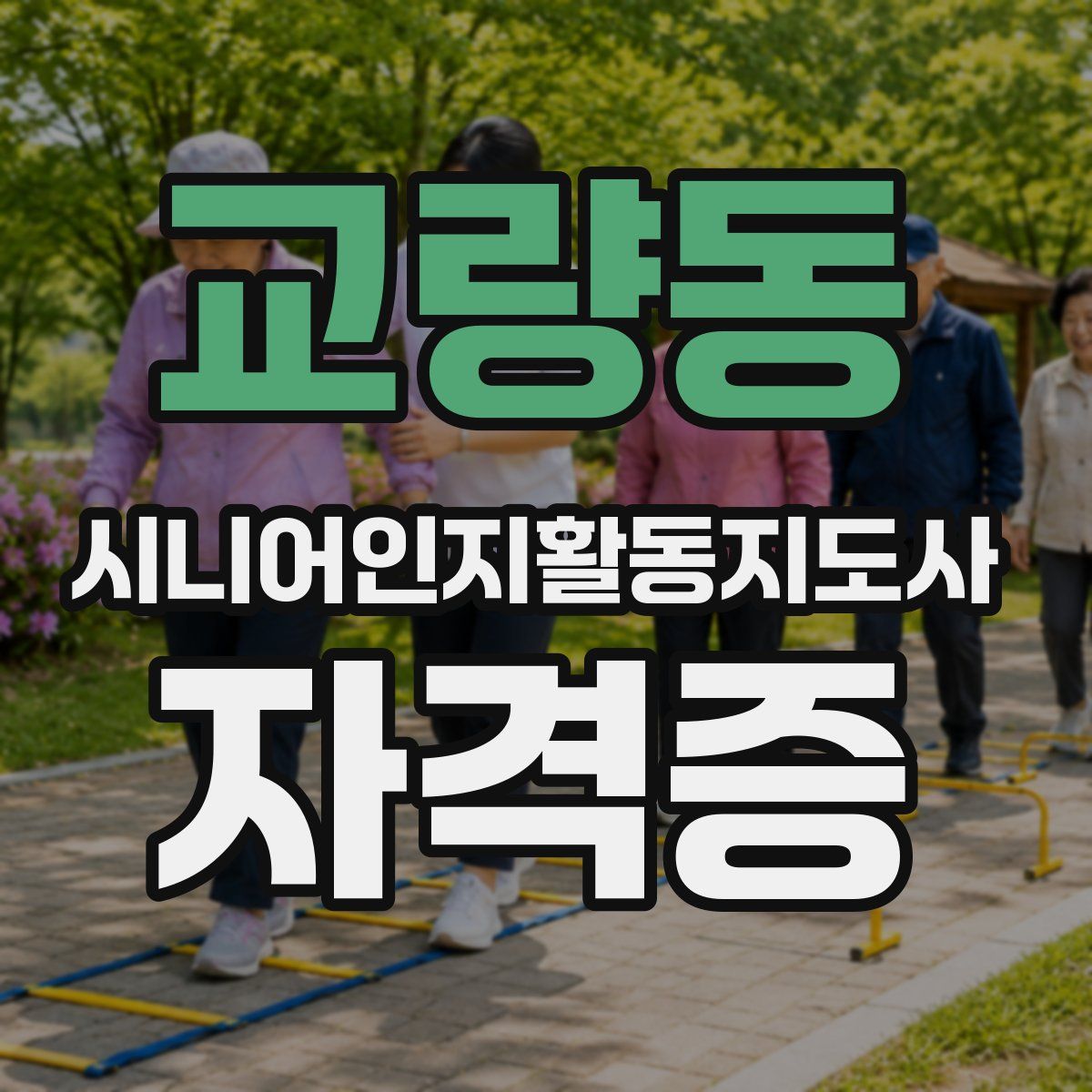 교량동 시니어인지활동지도사 자격증