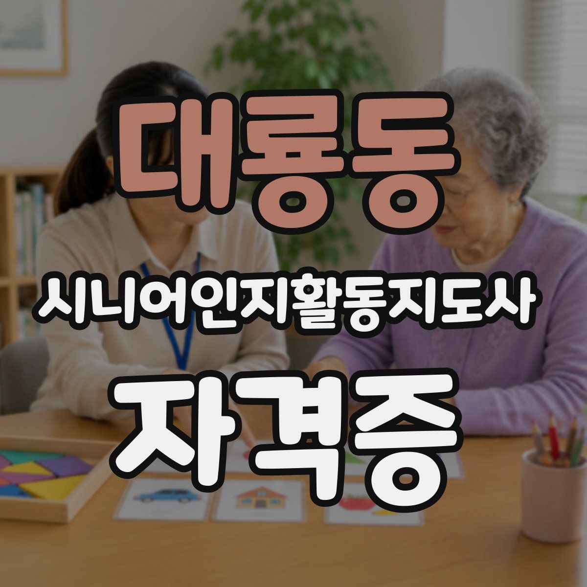 대룡동 시니어인지활동지도사 자격증