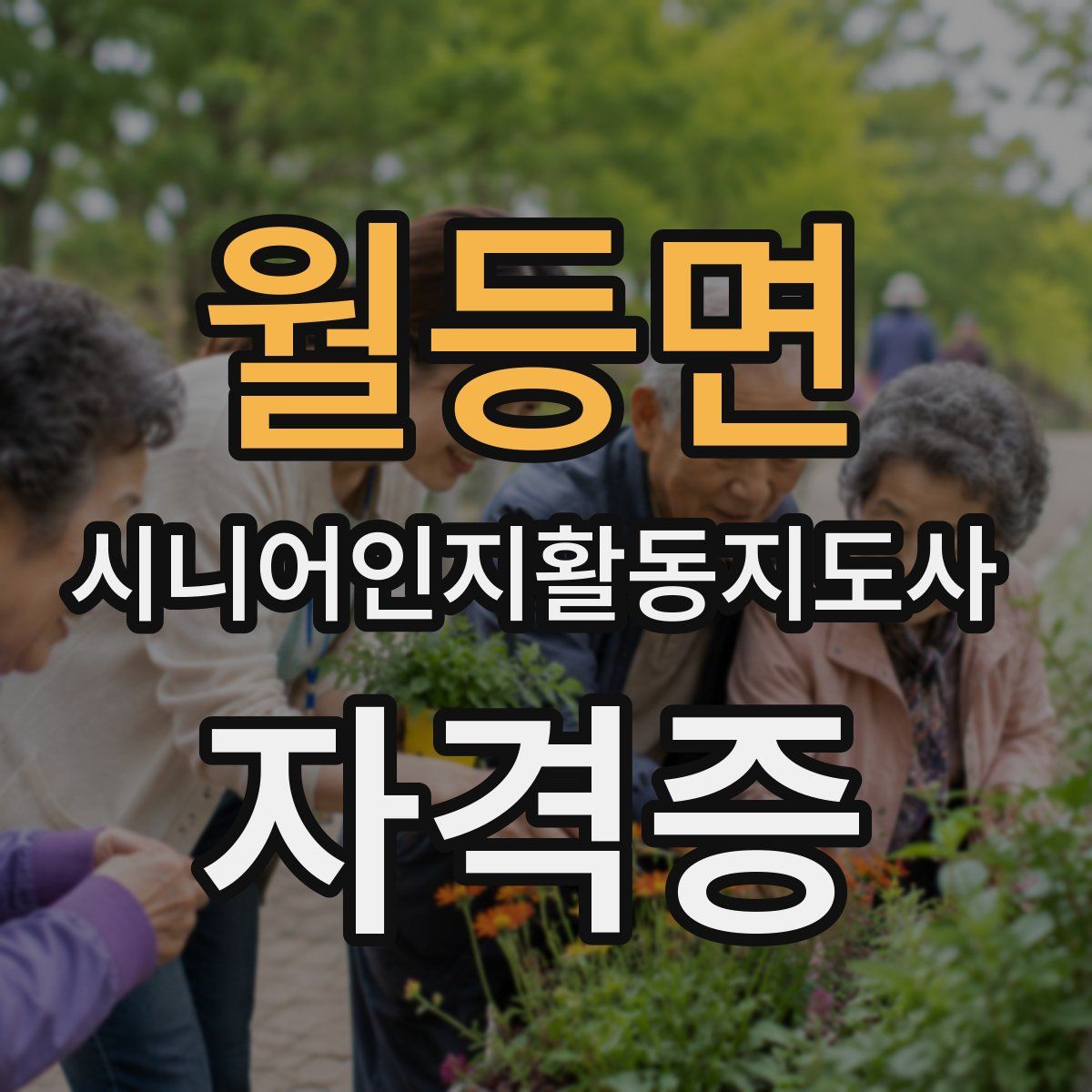월등면 시니어인지활동지도사 자격증