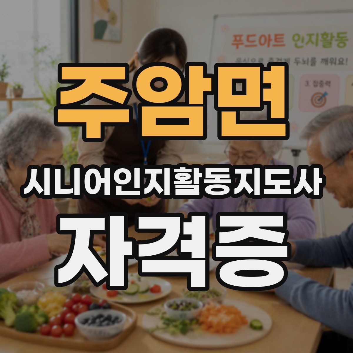 주암면 시니어인지활동지도사 자격증
