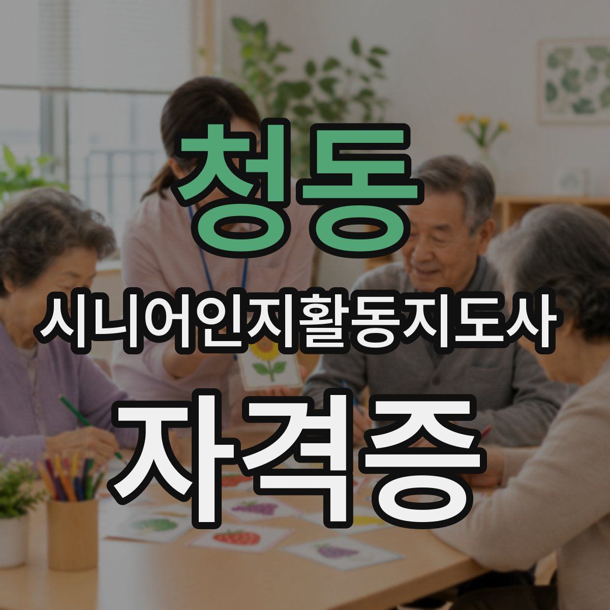 청동 시니어인지활동지도사 자격증
