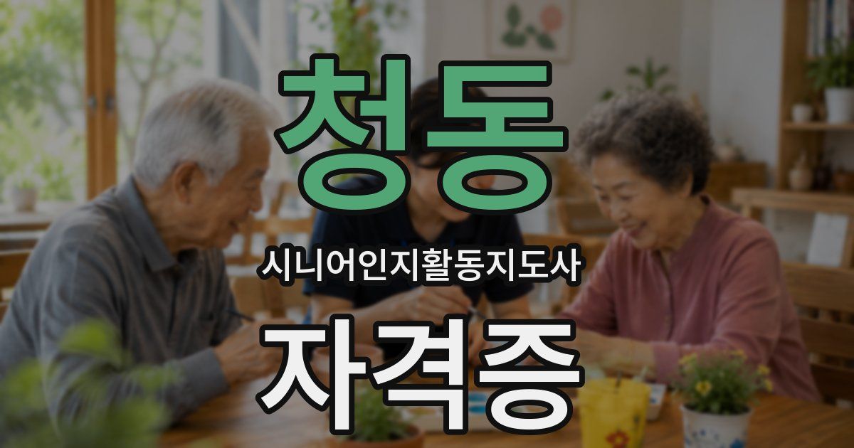 청동 시니어인지활동지도사 자격증