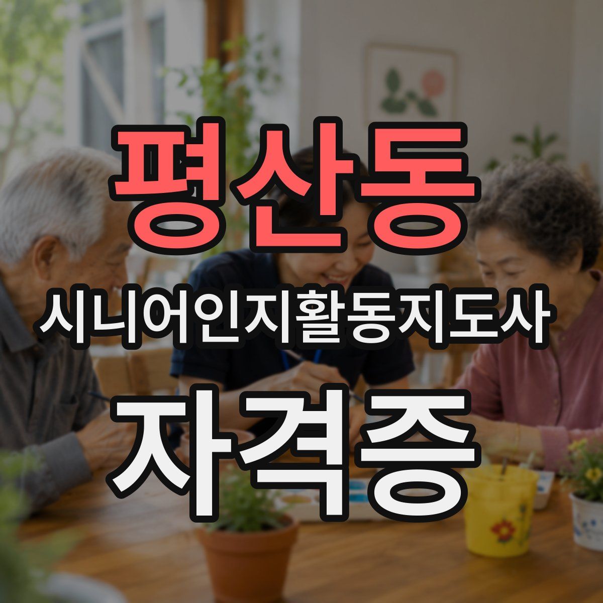 평산동 시니어인지활동지도사 자격증