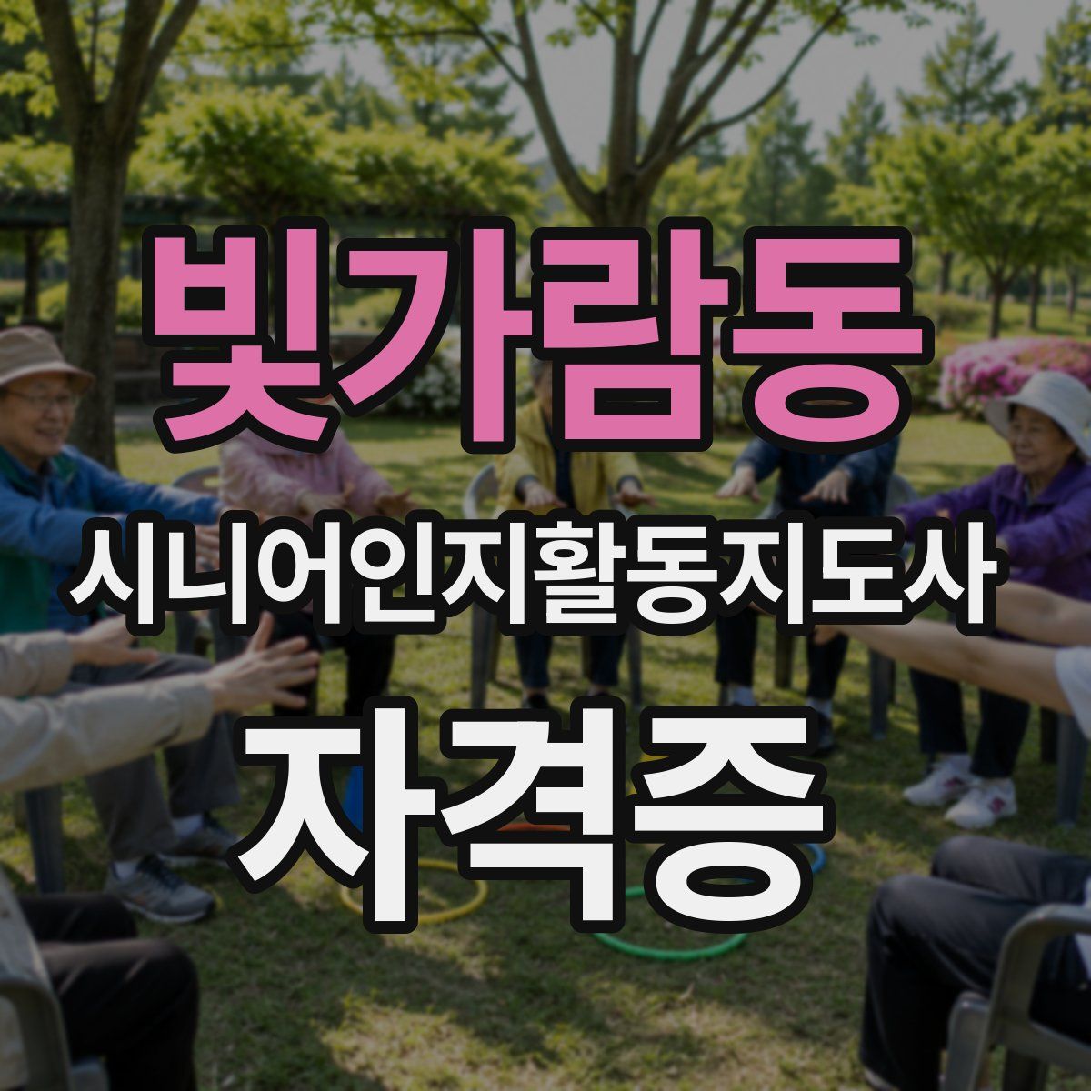 빛가람동 시니어인지활동지도사 자격증