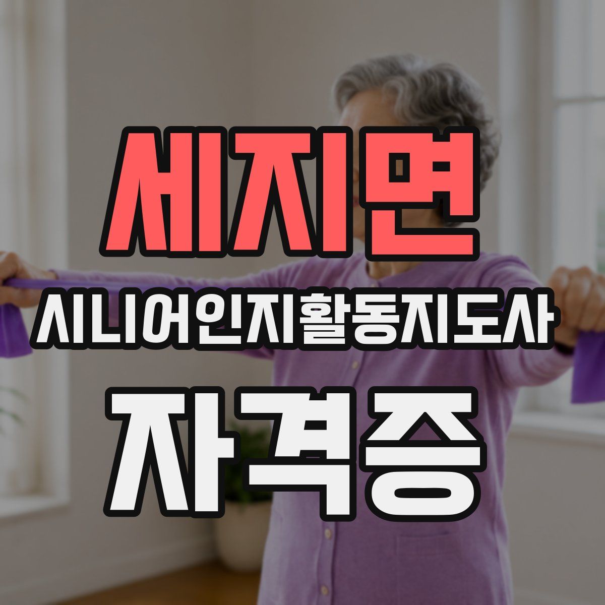 세지면 시니어인지활동지도사 자격증
