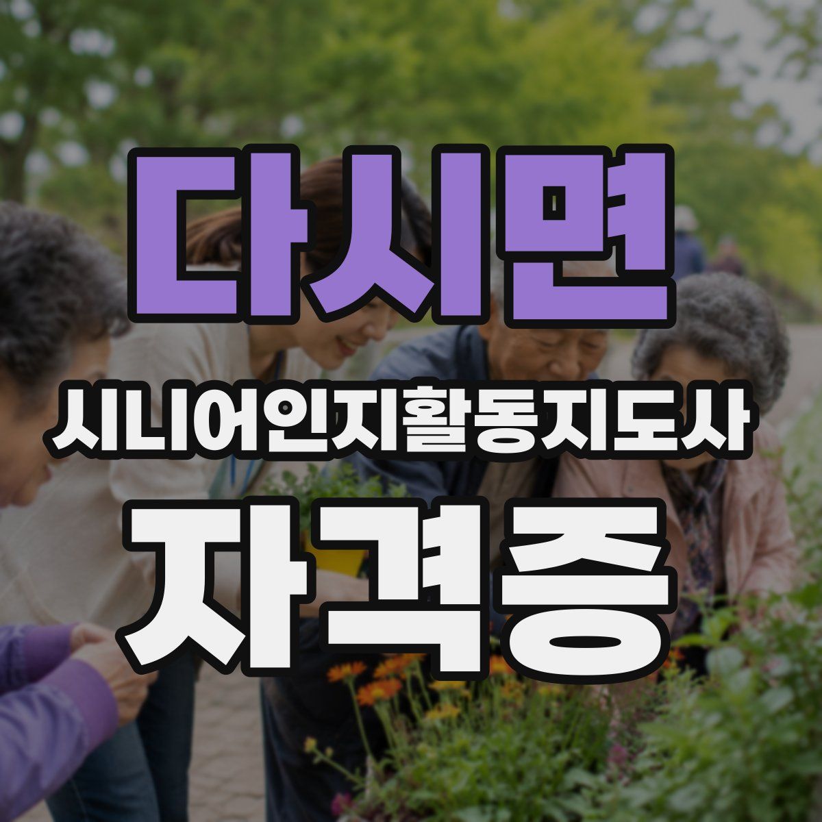 다시면 시니어인지활동지도사 자격증