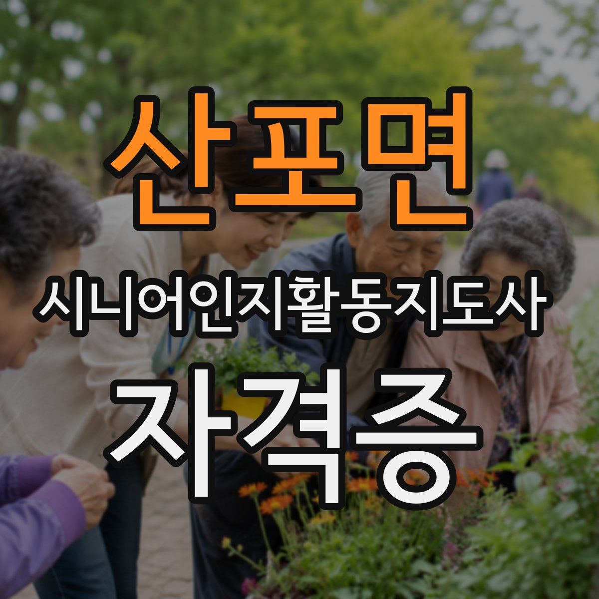 산포면 시니어인지활동지도사 자격증