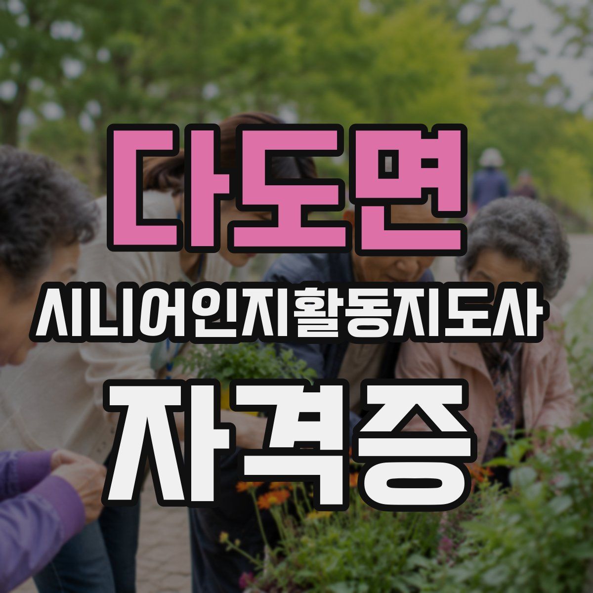 다도면 시니어인지활동지도사 자격증