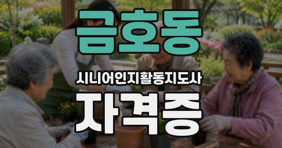 금호동 시니어인지활동지도사 자격증