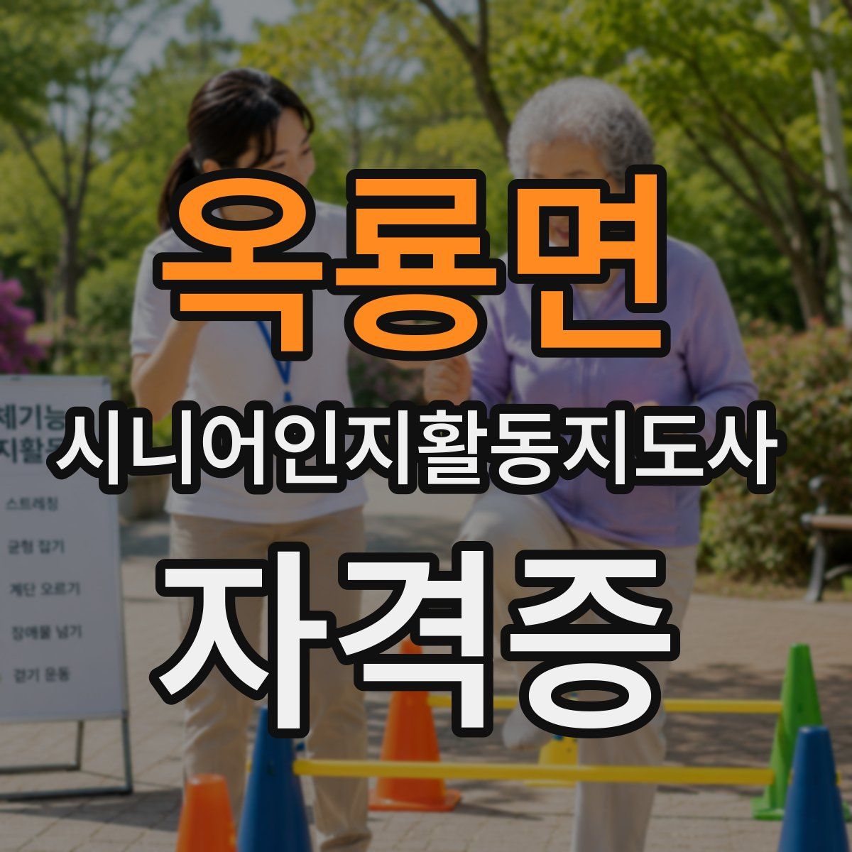 옥룡면 시니어인지활동지도사 자격증