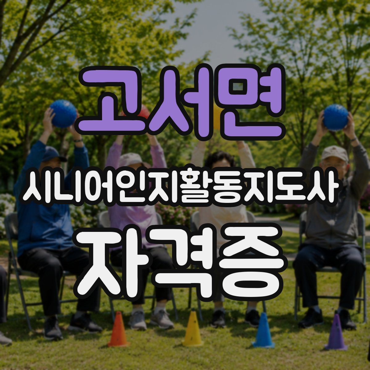 고서면 시니어인지활동지도사 자격증
