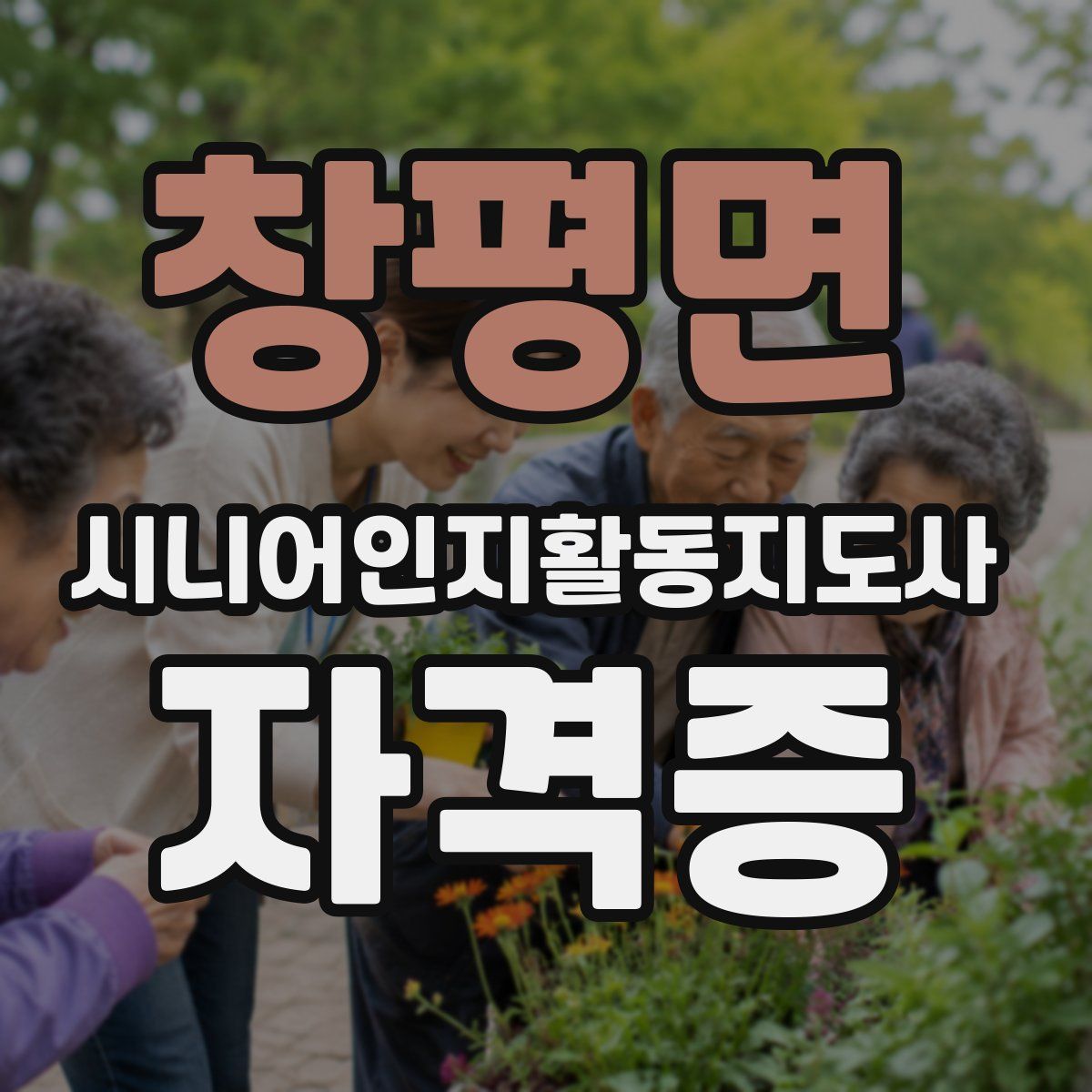 창평면 시니어인지활동지도사 자격증