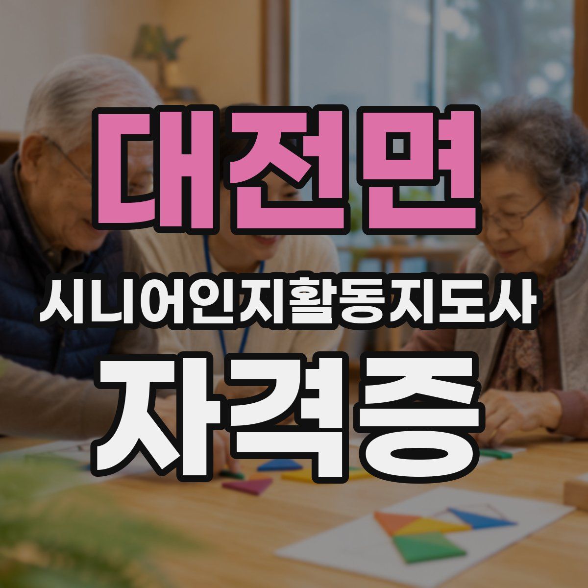 대전면 시니어인지활동지도사 자격증