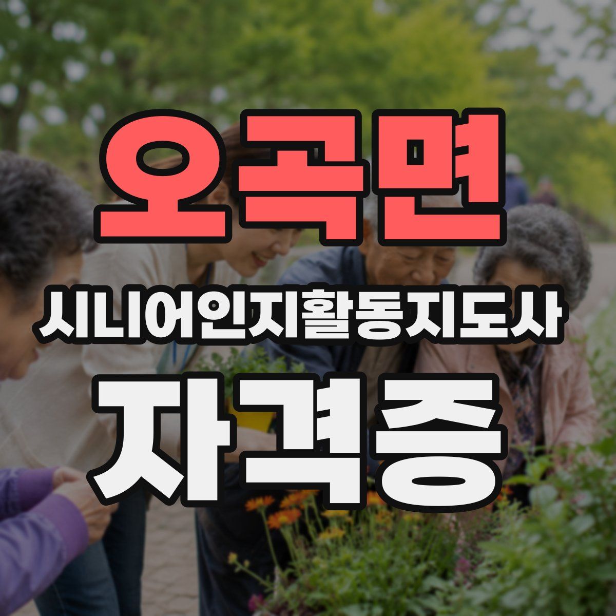 오곡면 시니어인지활동지도사 자격증