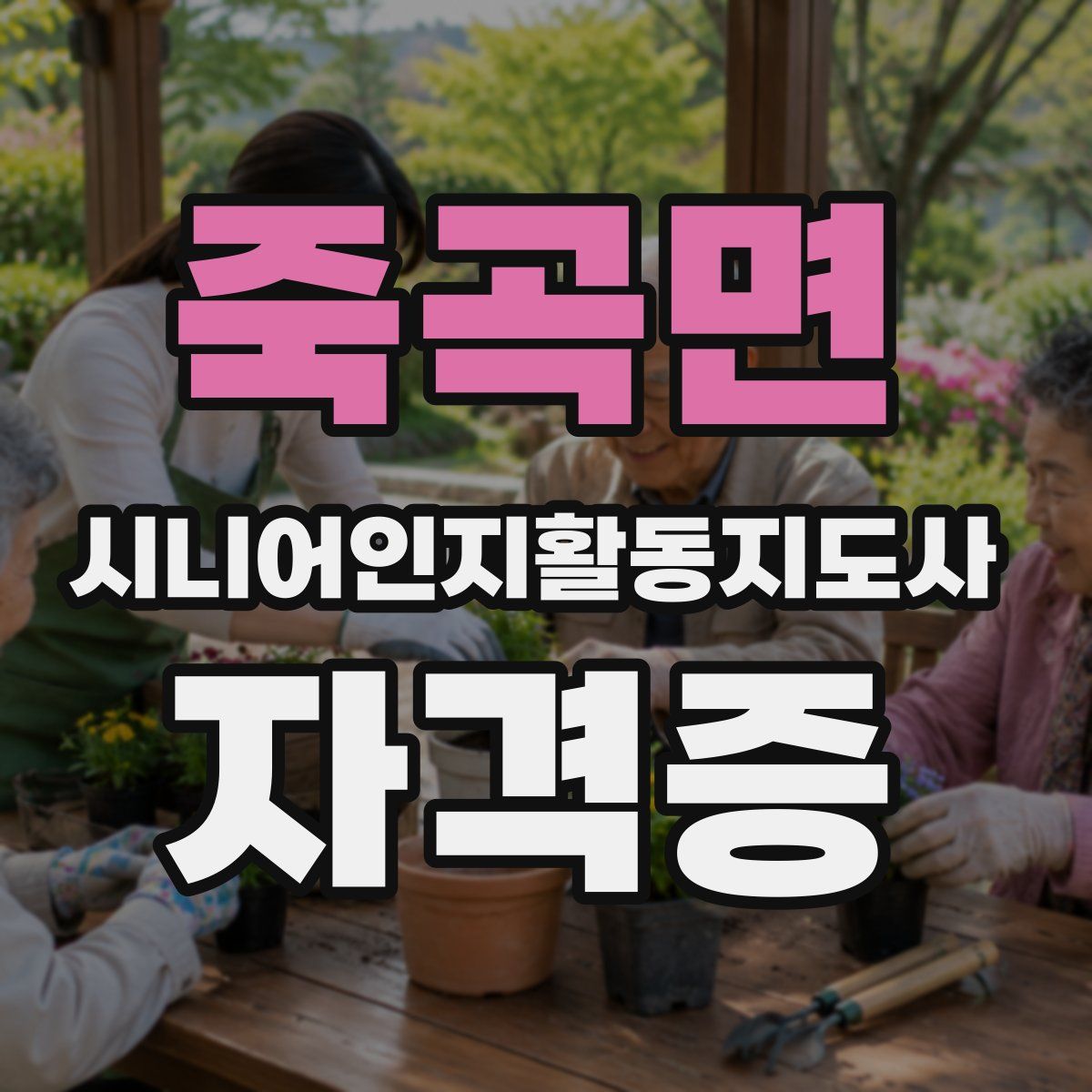 죽곡면 시니어인지활동지도사 자격증