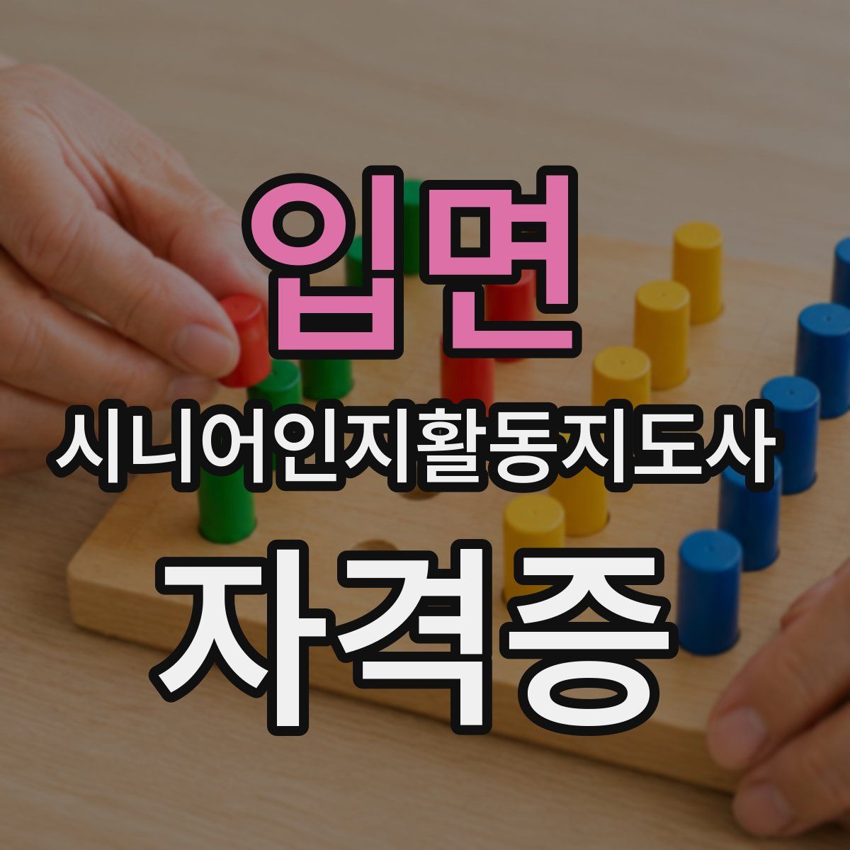 입면 시니어인지활동지도사 자격증