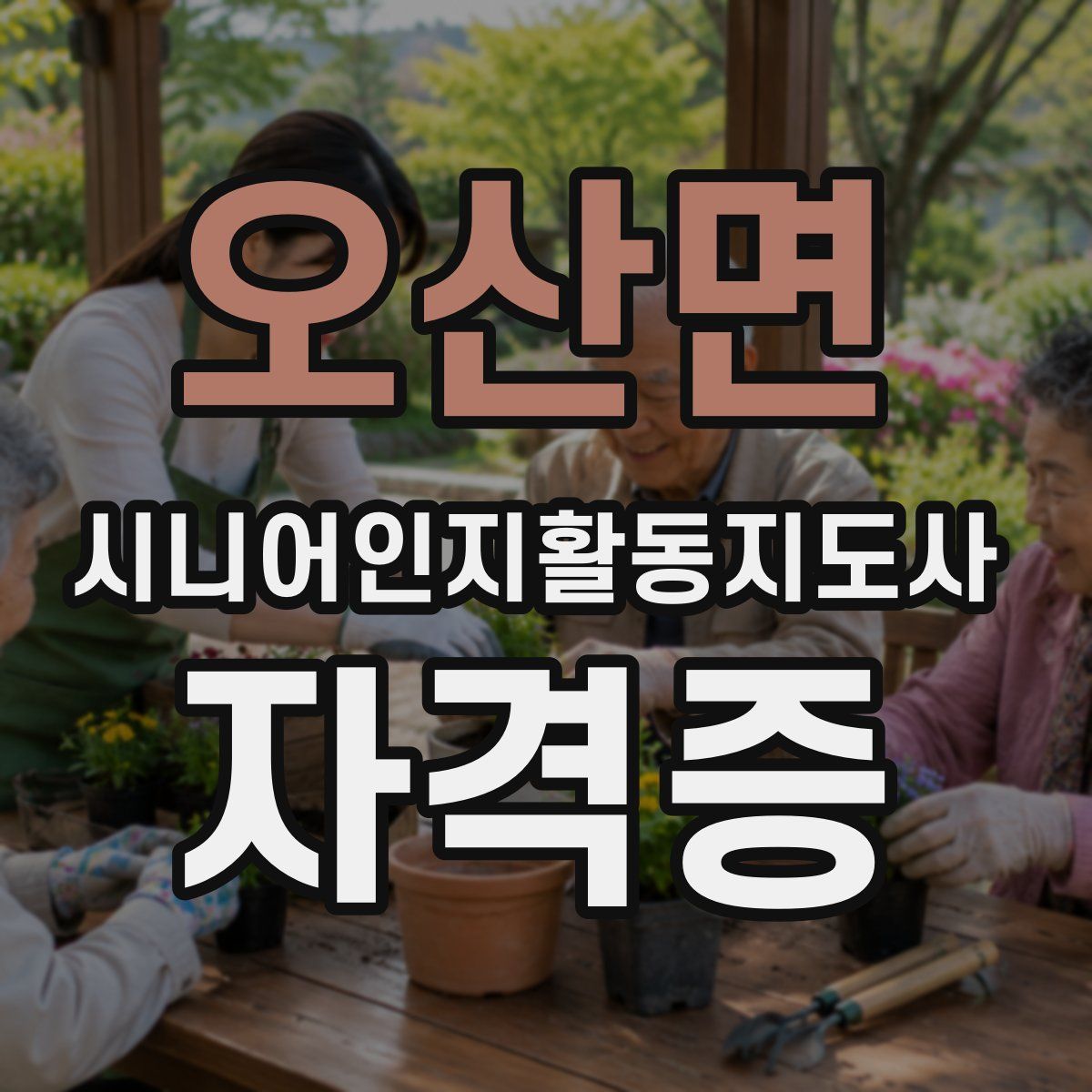 오산면 시니어인지활동지도사 자격증