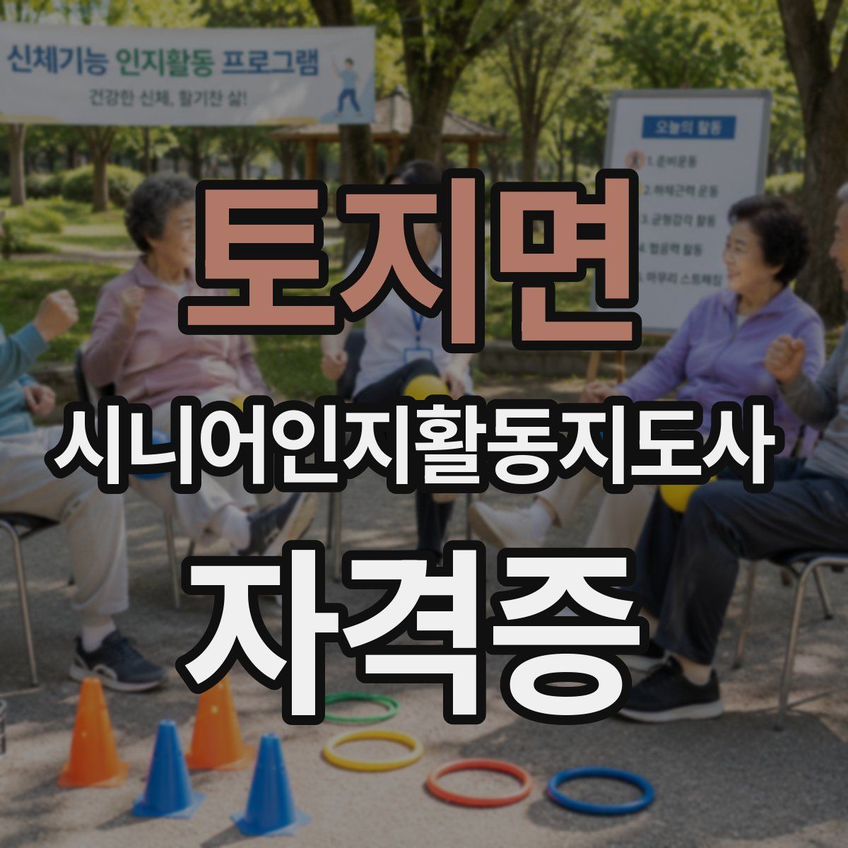 토지면 시니어인지활동지도사 자격증