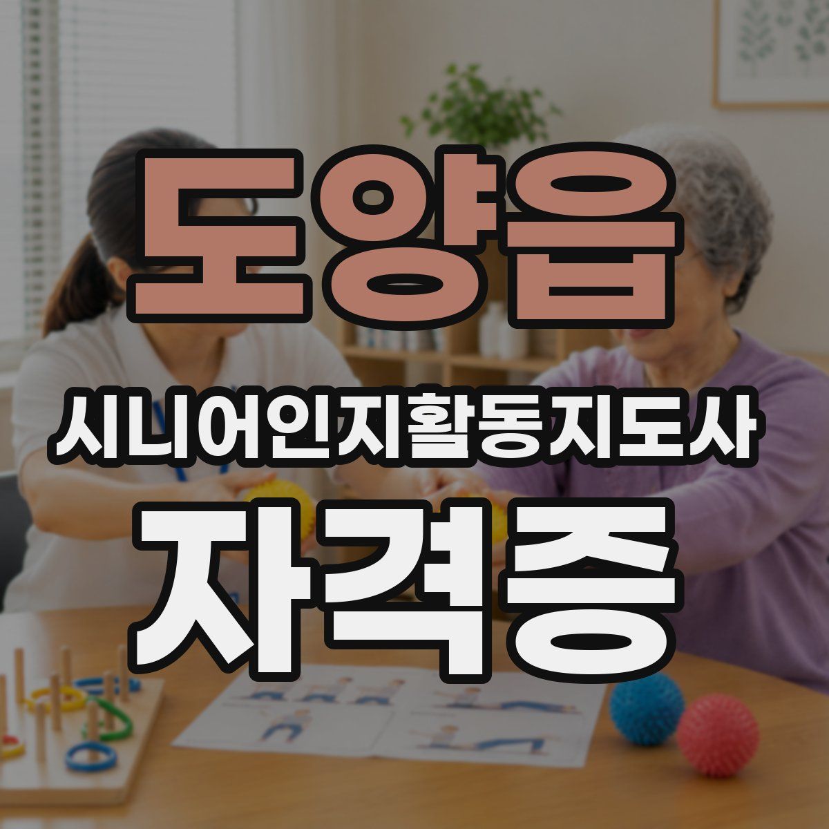 도양읍 시니어인지활동지도사 자격증