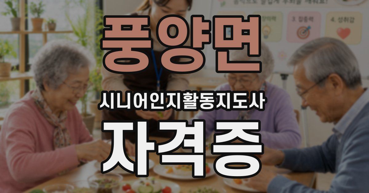 풍양면 시니어인지활동지도사 자격증