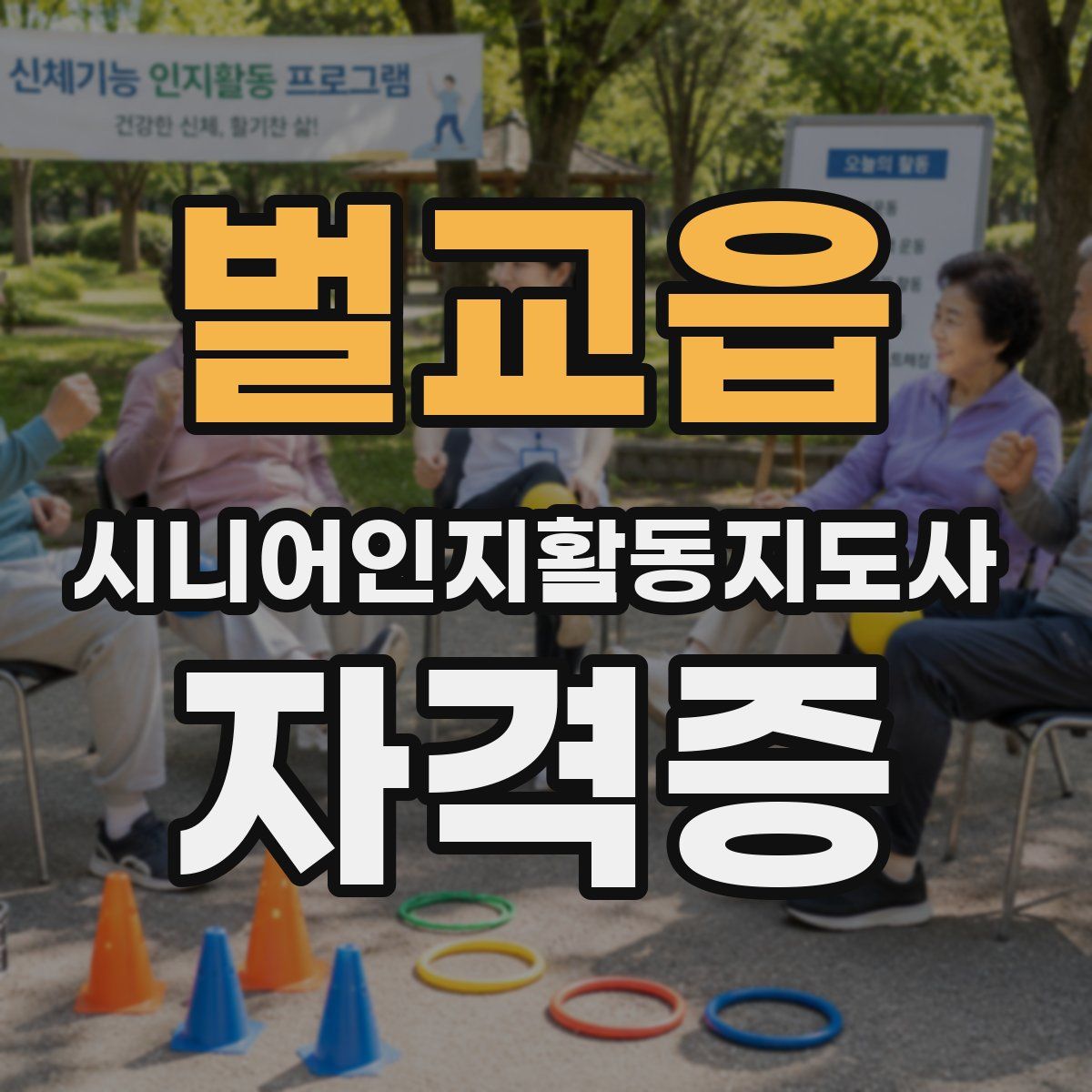벌교읍 시니어인지활동지도사 자격증