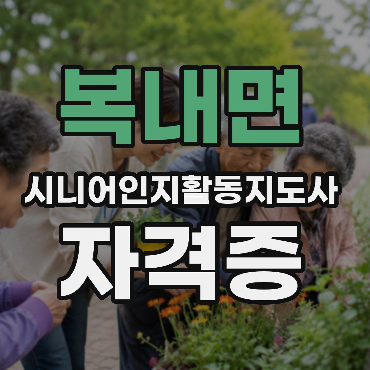 복내면 시니어인지활동지도사 자격증