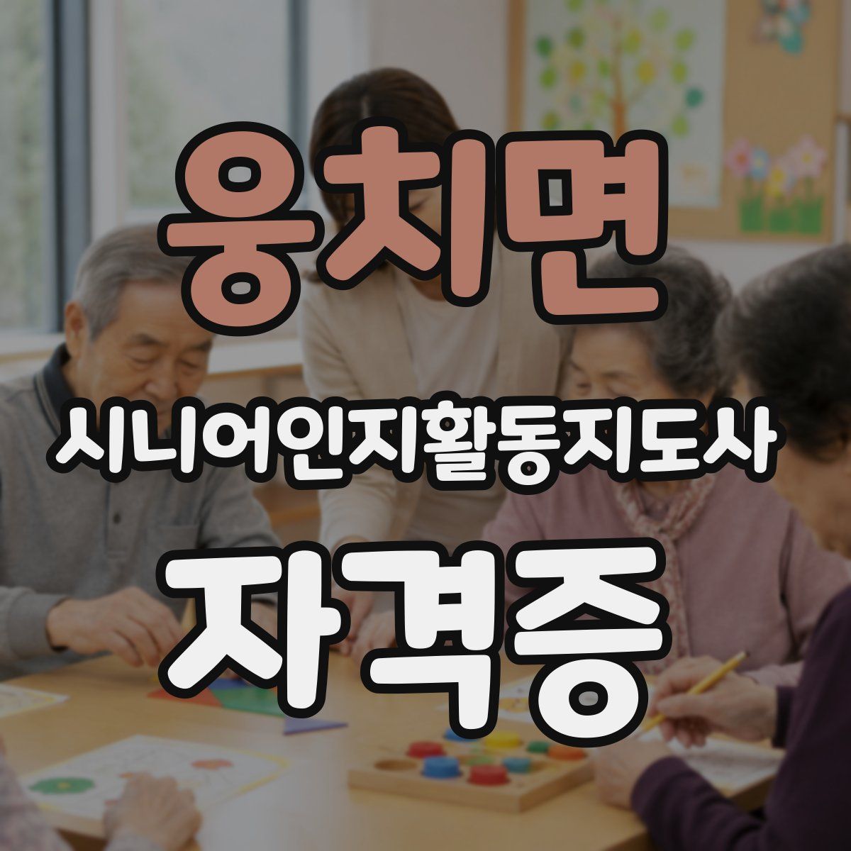 웅치면 시니어인지활동지도사 자격증