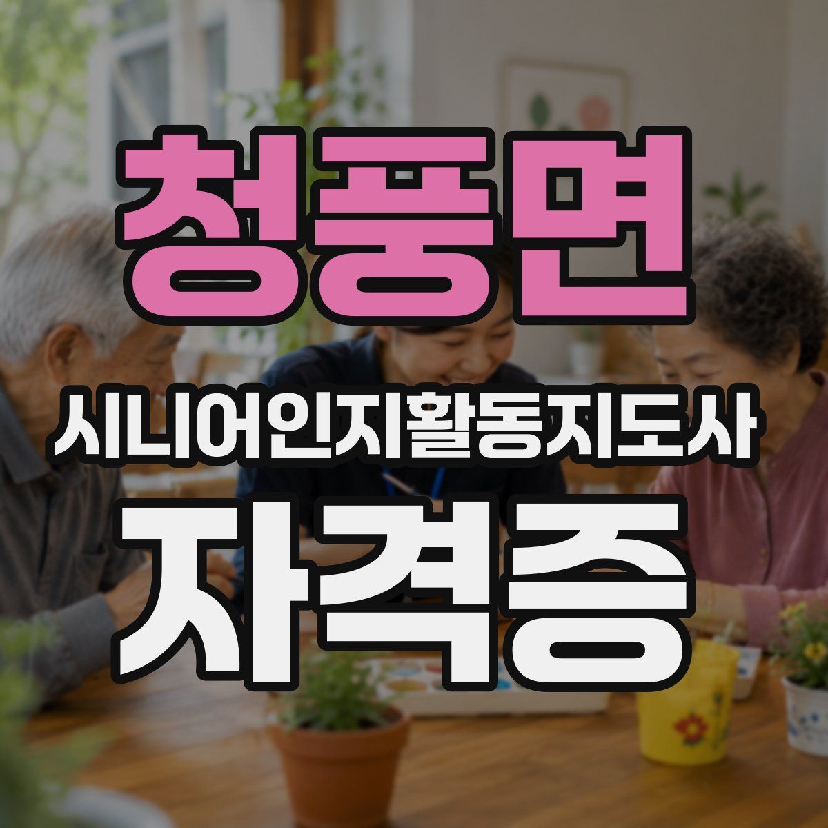 청풍면 시니어인지활동지도사 자격증