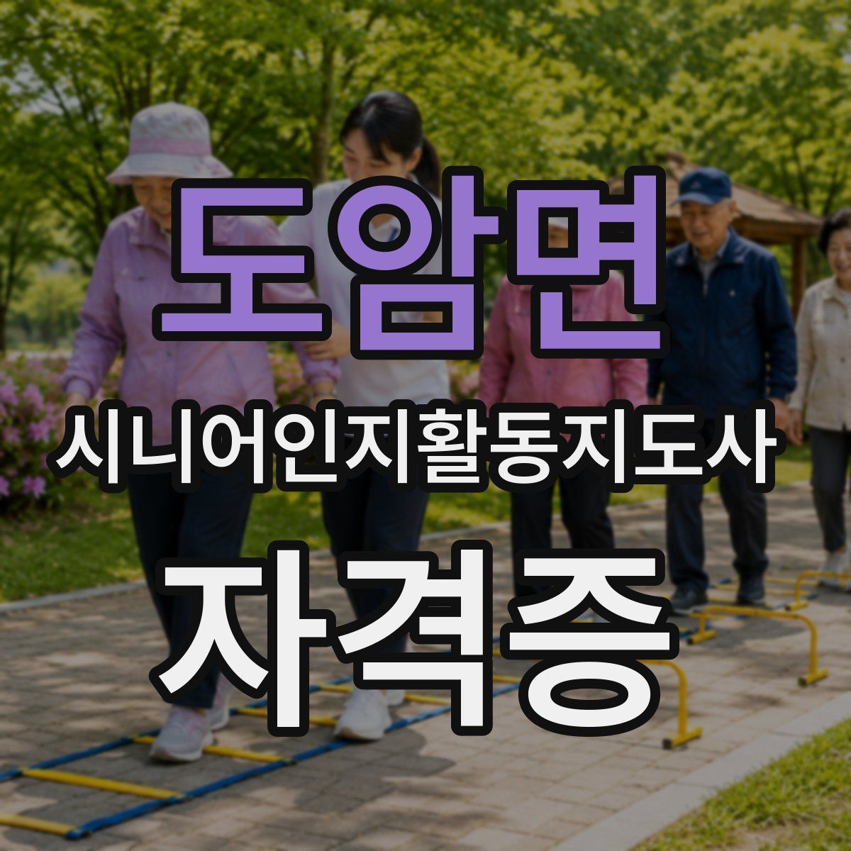 도암면 시니어인지활동지도사 자격증